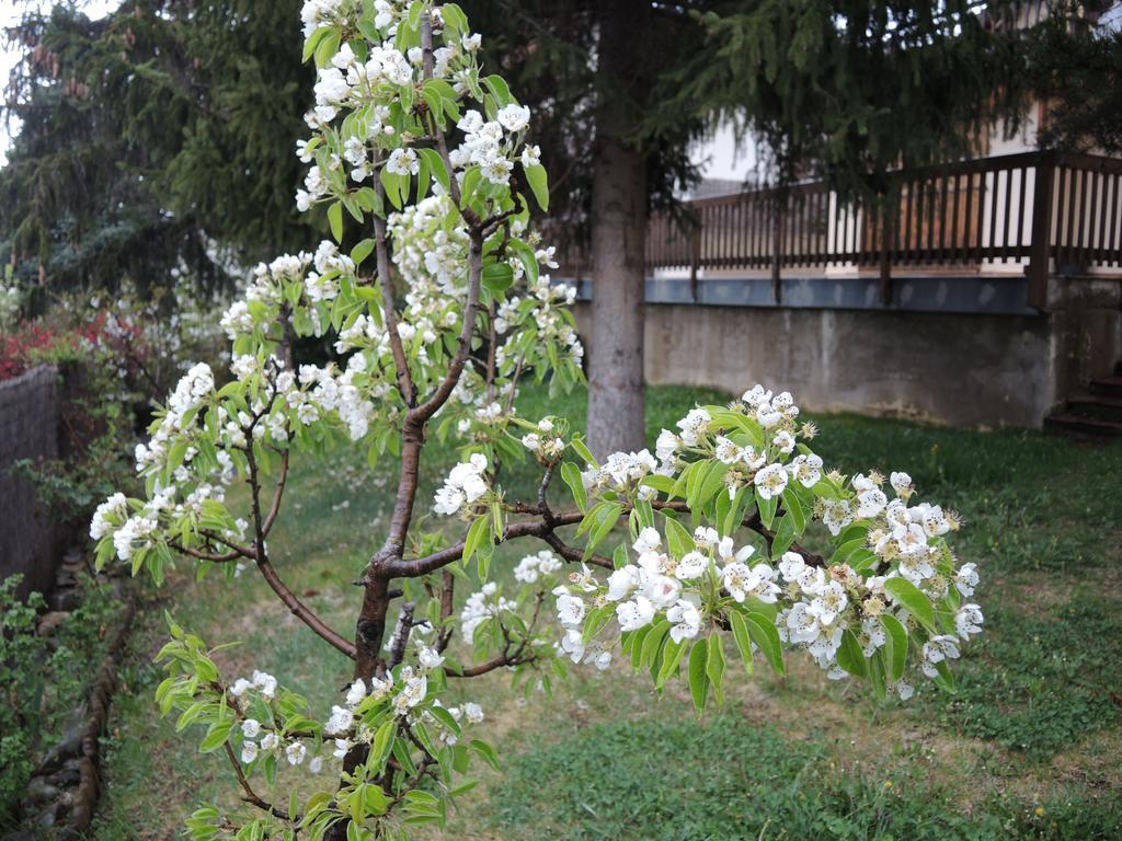 萨亚古斯阁楼公寓 外观 照片